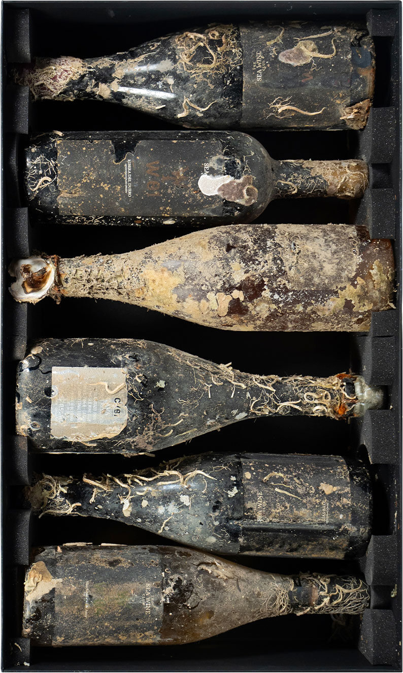 Sea Wine Collection Pack — 2025 Edition